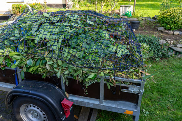 Best Shed Removal  in Bargersville, IN